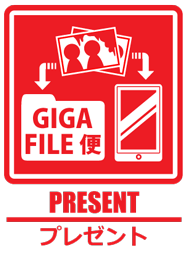 �ʐ^�E����f�[�^�@�v���[���g