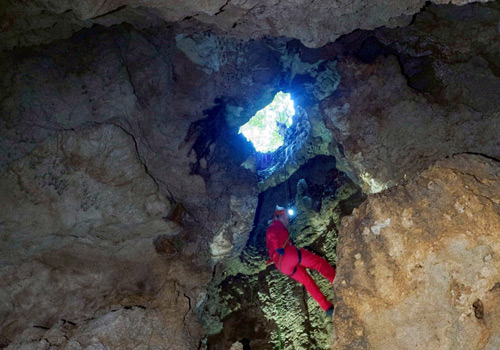 ���[�v�G���g���[