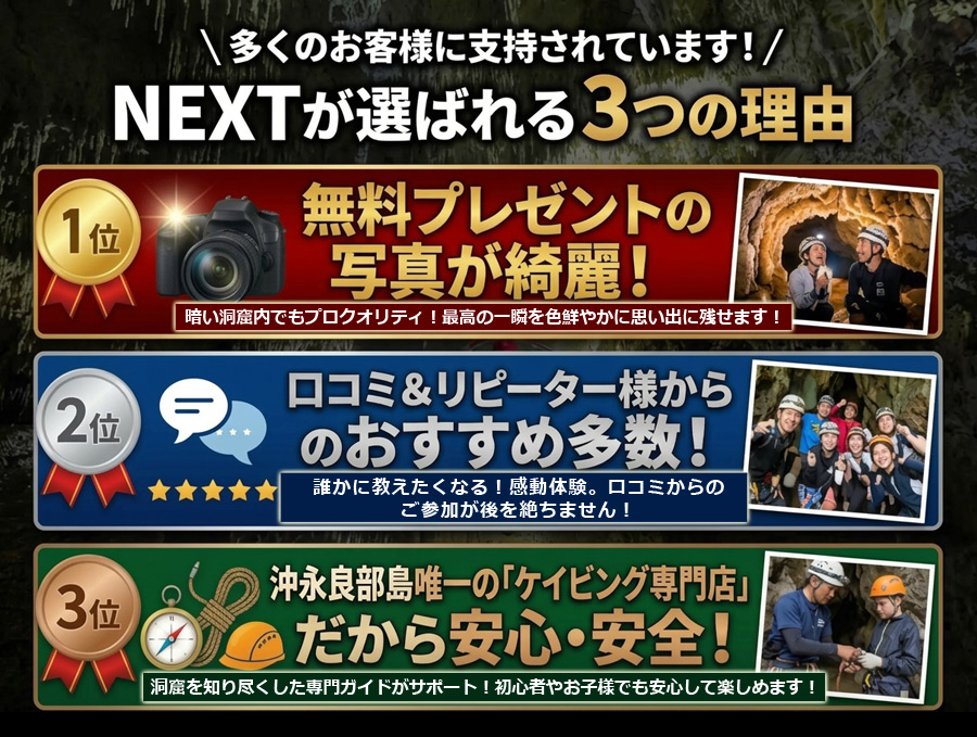 NEXT���I�΂�闝�R