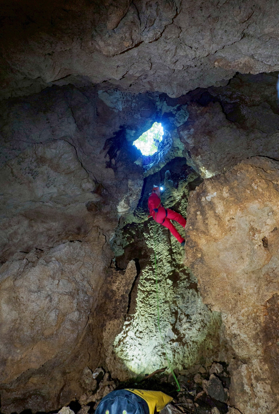 15m�̒G���G���g���[