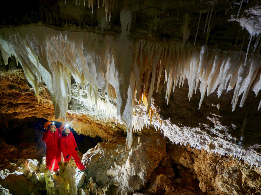 15m�̒G���G���g���[