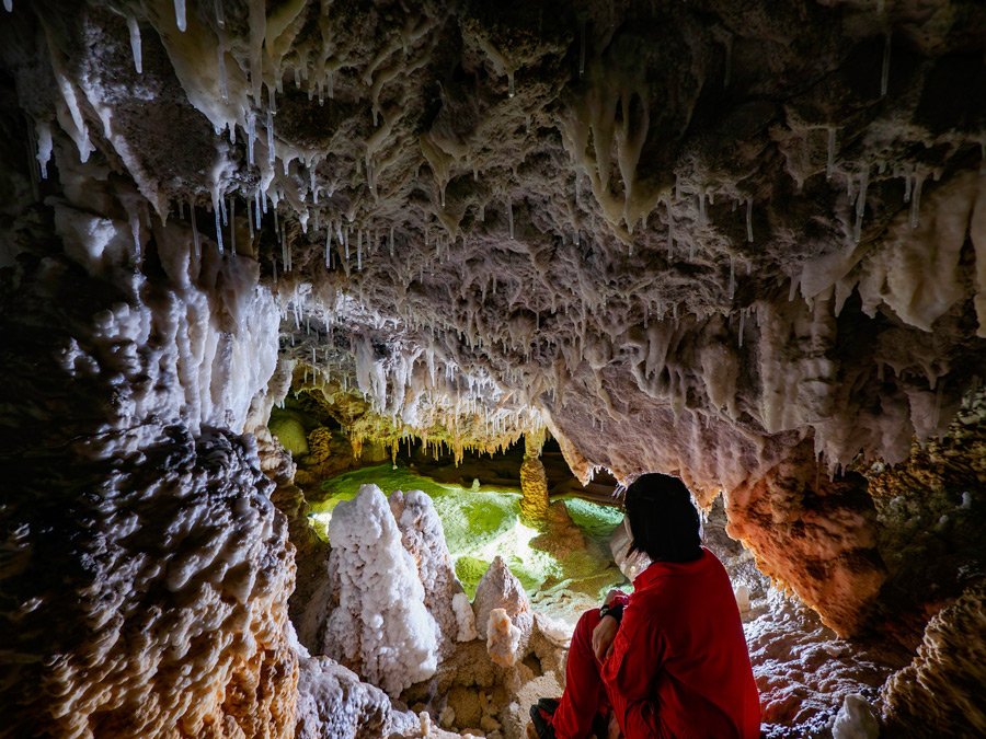 15m�̒G���G���g���[