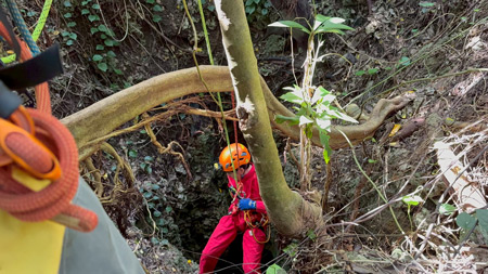 15m�̒G���G���g���[